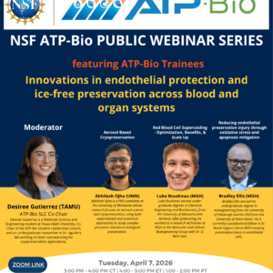 Innovations in endothelial protection and ice-free preservation across blood and organ systems